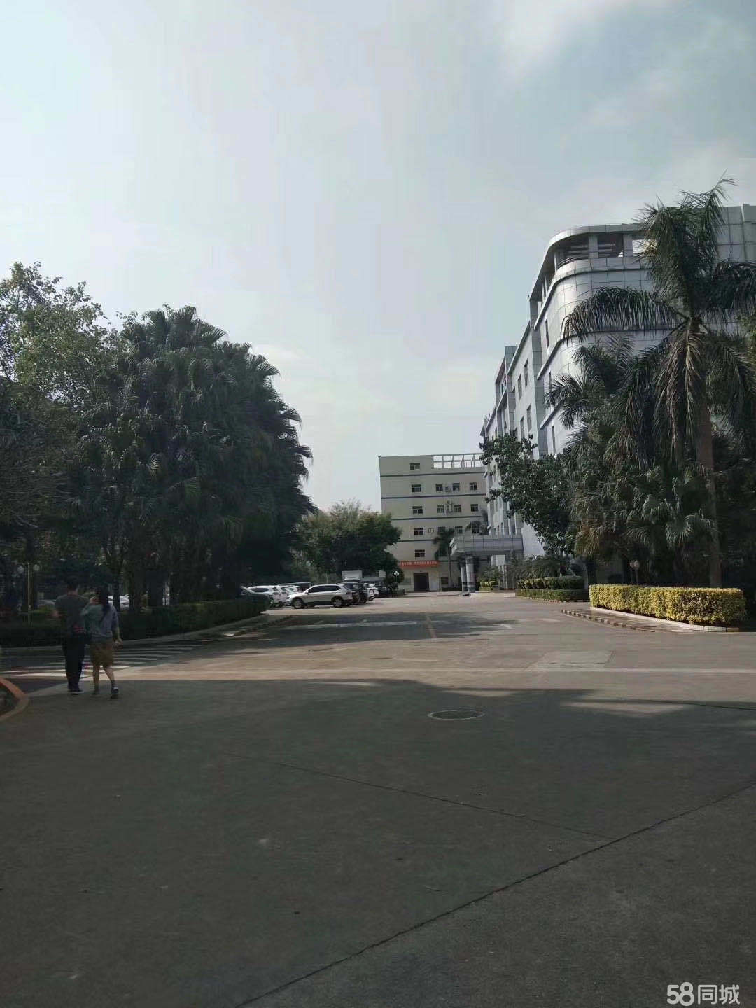 普工、生產(chǎn)工、操作工、裝配工、維修員、包裝工、插件、組長、拉長